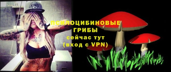 шишки Зеленокумск