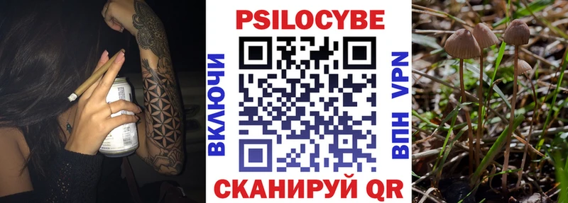 Псилоцибиновые грибы MAGIC MUSHROOMS  Щучье 